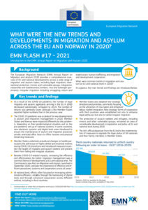 thumbnail of EMN ARM 2020_FLASH