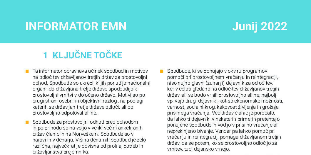 thumbnail of Motivi in spodbude za prostovoljni odhod